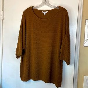 EUC Time&Tru oversized sweater